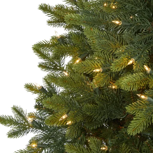 Outlet The Holiday Aisle North Carolina 7' Green Fir Artificial Christmas Tree With 550 Colored And Clear Lights