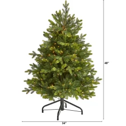 Outlet The Holiday Aisle North Carolina 7' Green Fir Artificial Christmas Tree With 550 Colored And Clear Lights