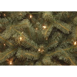 Discount Mercury Row Omusa Blue Fir Christmas Tree With Clear/White Lights