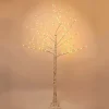 Cheap The Holiday Aisle Patch Magic Led 7' White Birch Artificial Christmas Tree With 160 Clear/White Lights