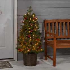 New The Holiday Aisle Potted Natural Cut Riverton 4' H Green Pine Christmas Tree With 150 Lights