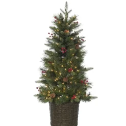 New The Holiday Aisle Potted Natural Cut Riverton 4' H Green Pine Christmas Tree With 150 Lights