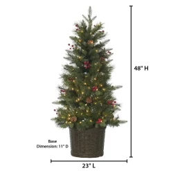 New The Holiday Aisle Potted Natural Cut Riverton 4' H Green Pine Christmas Tree With 150 Lights