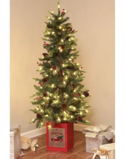 Outlet The Holiday Aisle Pre-Lit Porch 5' Green Pine Fir Artificial Christmas Tree With 150 Warm White Lights