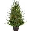 Clearance The Holiday Aisle Prelit Potted 4' Green Pine Artificial Christmas Tree With 200 Clear And White Lights