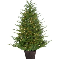 Clearance The Holiday Aisle Prelit Potted 4' Green Pine Artificial Christmas Tree With 200 Clear And White Lights