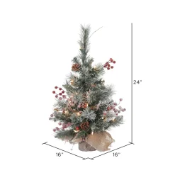Cheap Andover Mills Snow Tipped Pine And Berry 2' Artificial Christmas Tree With 35 Clear Lights