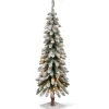 Flash Sale The Holiday Aisle Snowy Downswept Forestree 4' Green Fir Artificial Christmas Tree With 50 Clear/White Lights