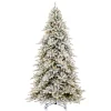 Discount Vickerman 10' X 67" Flocked Bavarian Pine Artificial Pre-Lit Tree, Dura-Lit® Warm White Mini Lights.